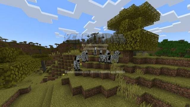 description_34 More animals.