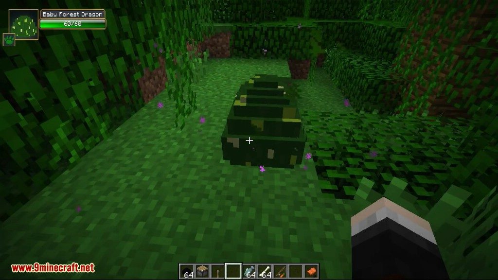 description_4 Dragon Mounts Mod (1.12.2) - ride dragons and tame them