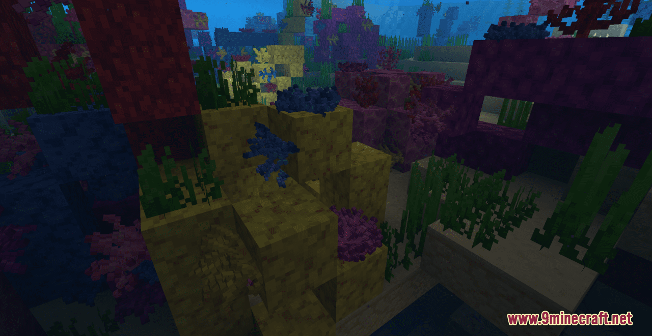 description_9 Cybers Better Coral Resource Pack (1.19.4, 1.19.2, 1.19) - текстурный пакет