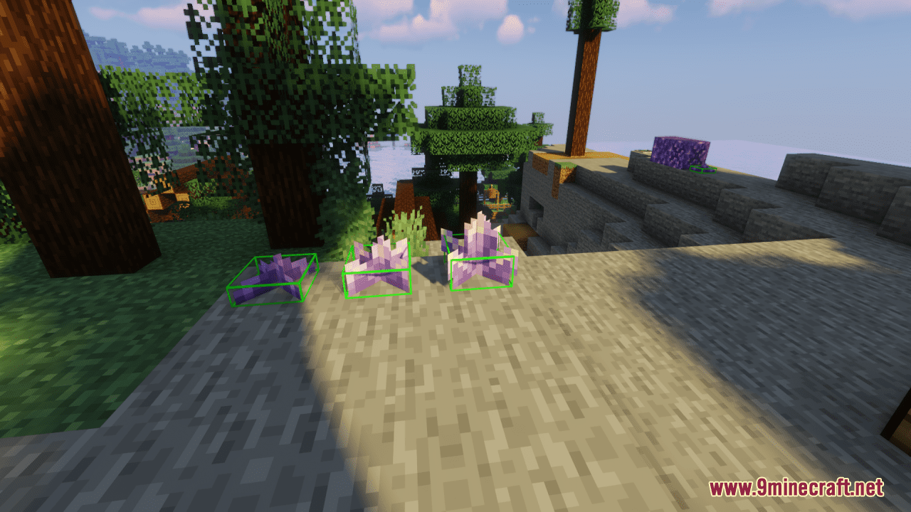 description_11 Block Hitbox Indicator Resource Pack (1.17.1 до 1.19.4) - Набор текстур