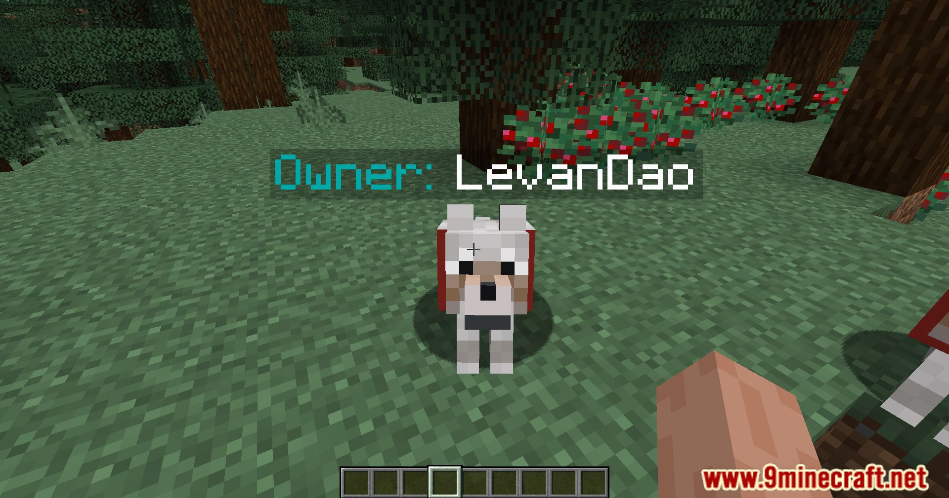 description_1 Pet Owner Mod 1.20.4 - identificar a los dueños de mascotas de un vistazo