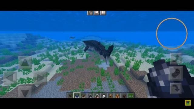 description_7 Подводные животные.