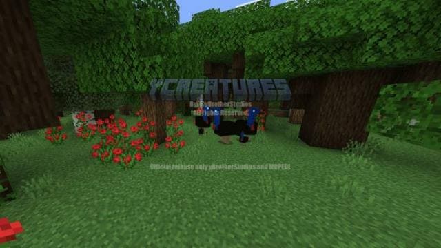 description_13 Больше животных.