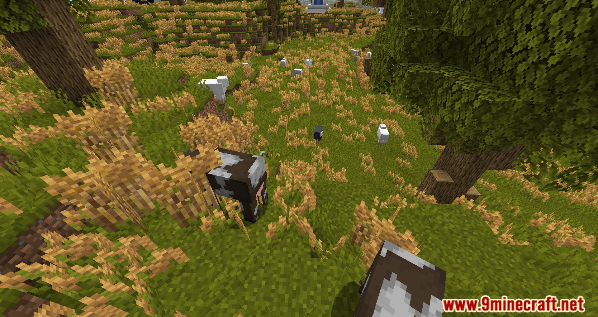 description_17 FTB Endeavour Modpack (1.16.5) - новейший универсальный модпак FTB