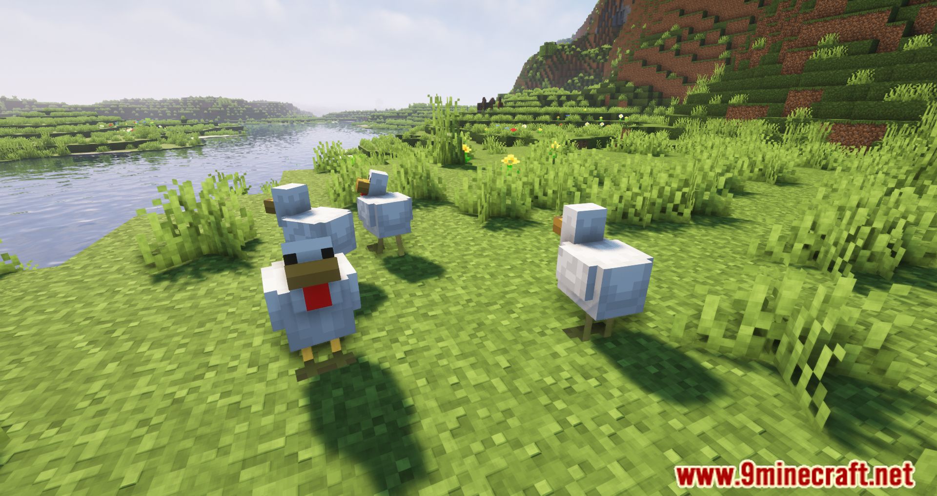 description_1 Despawning Eggs Hatch Mod - Chickens are born from dropped eggs.