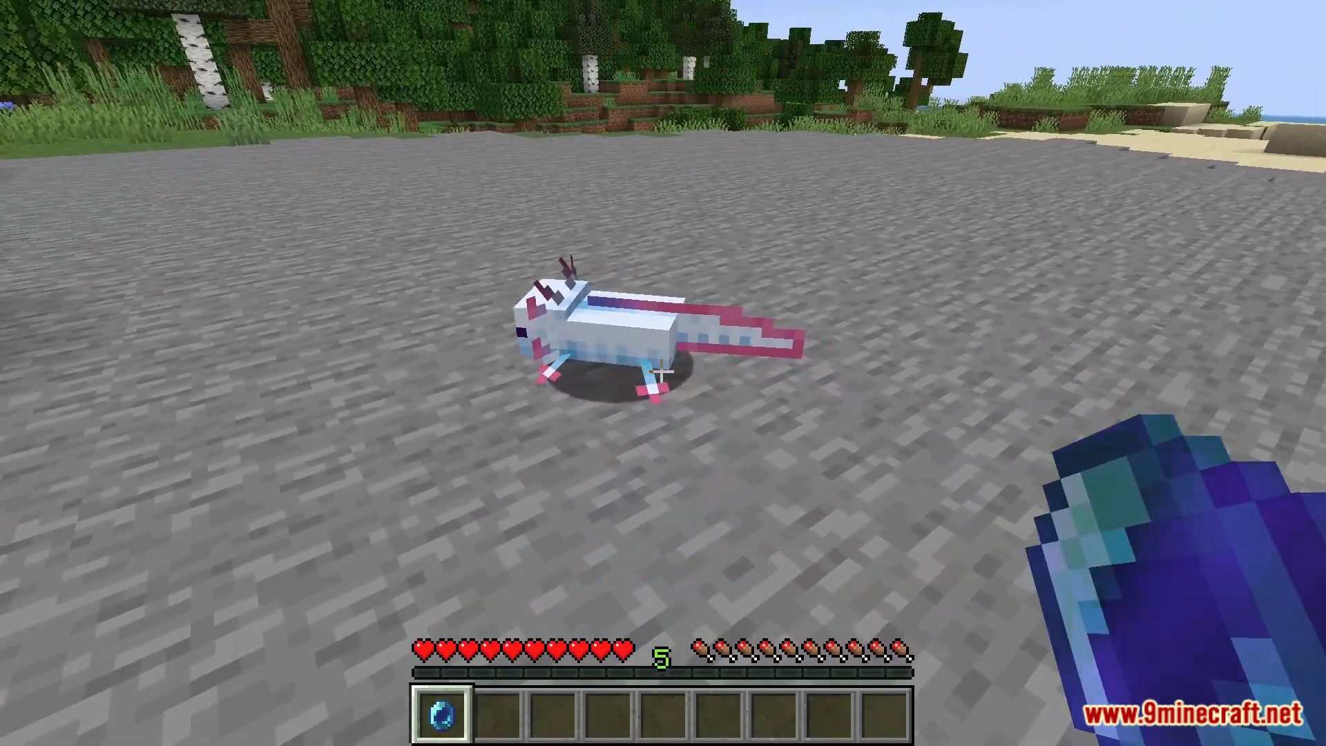 description_4 Soul Catcher Data Pack (1.20.2, 1.19.4) - Harness the power of lost souls in Minecraft!