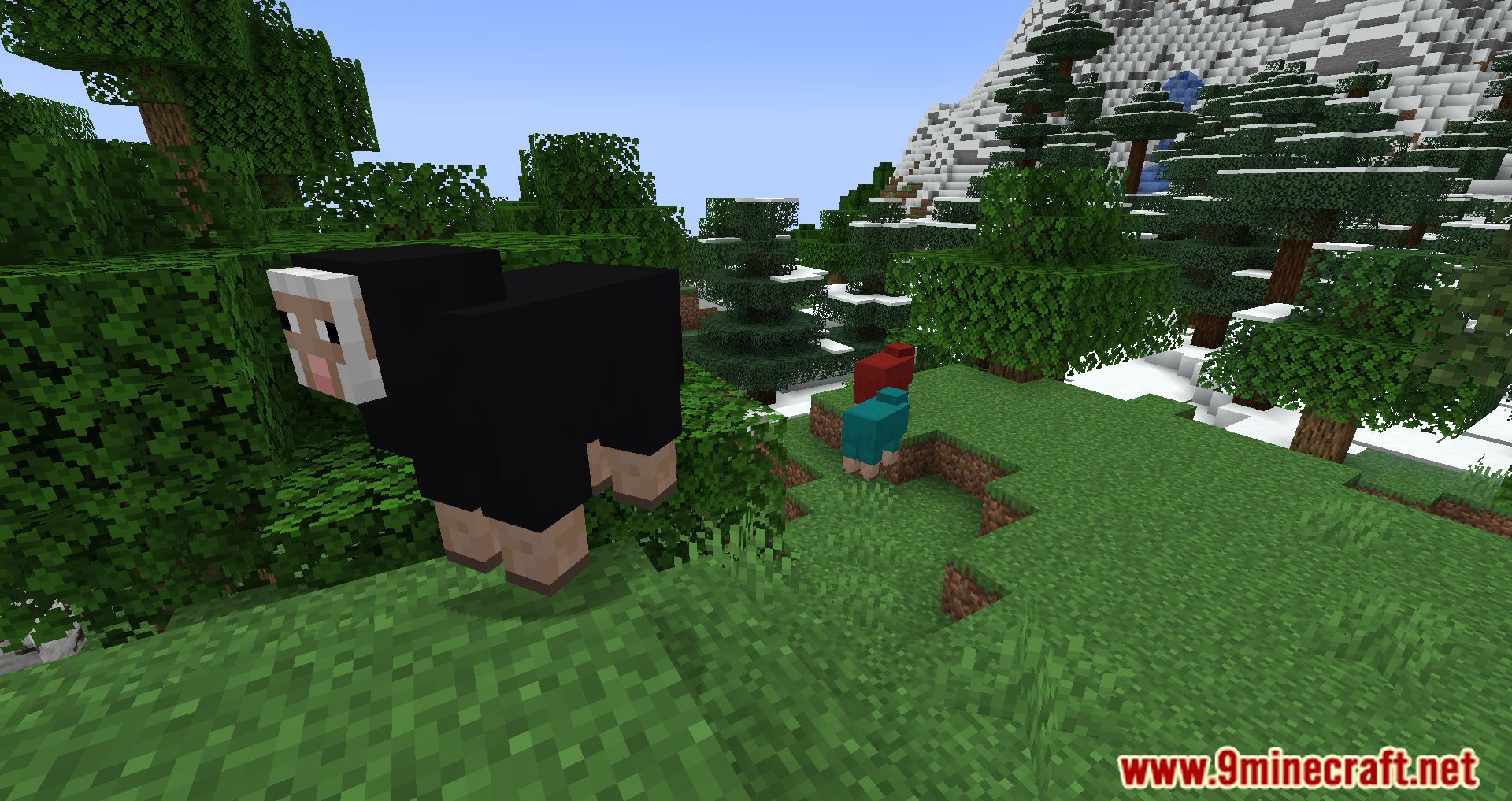 description_4 Random Sheep Colours Mod 1.20.4 - добавьте ярких красок в ваше стадо