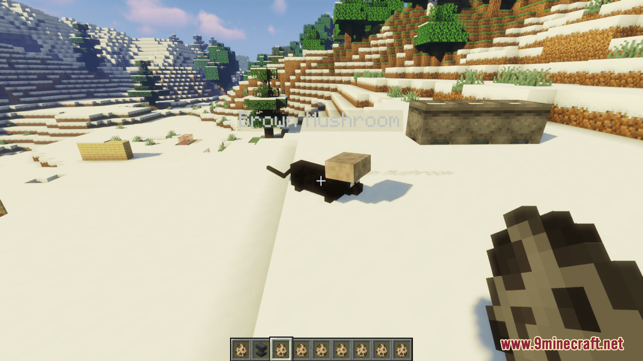 description_4 Meow Society Resource Pack (1.19.4, 1.19.2) - Пакет текстур