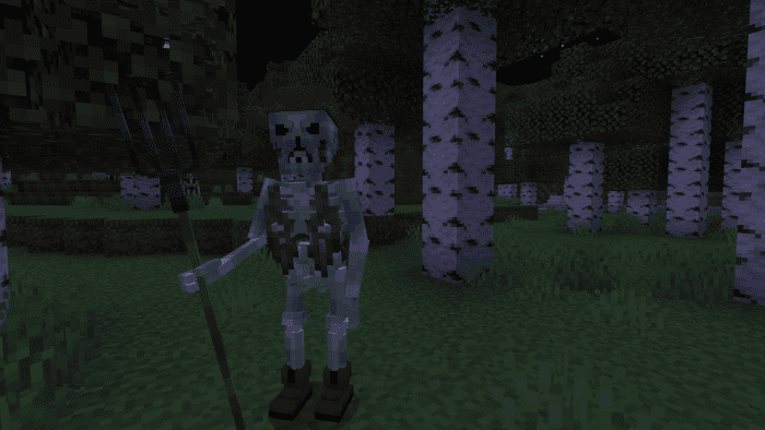 image 6 for Add-on Phantom Skeletons (1.20) - MCPE/Bedrock Mod