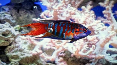  image 5 for