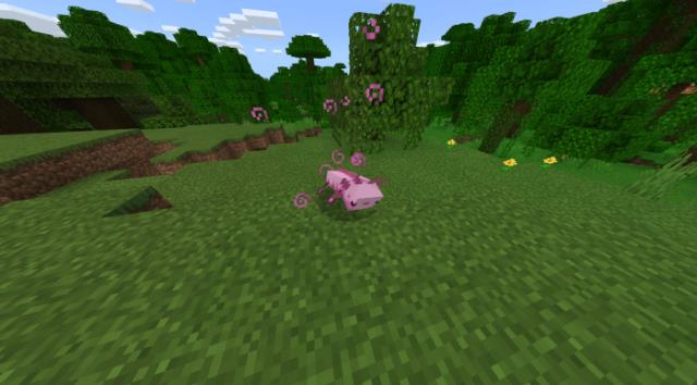 description_10 axolotl review.1