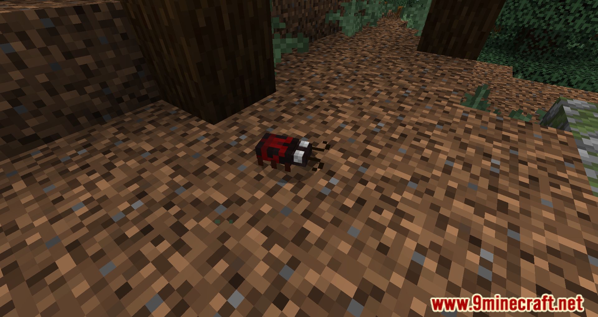 description_0 Chirpy's Wildlife Mod 1.20.1 - Разнообразные экосистемы