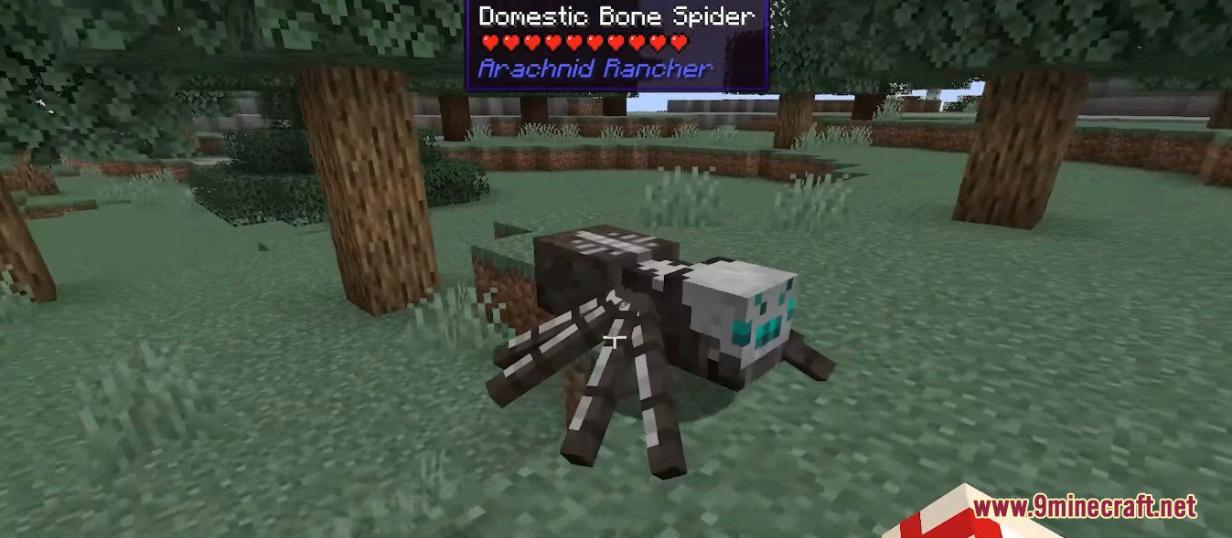 description_9 Arachnid Rancher Mod 1.19.2 - Самые милые безобидные домашние пауки