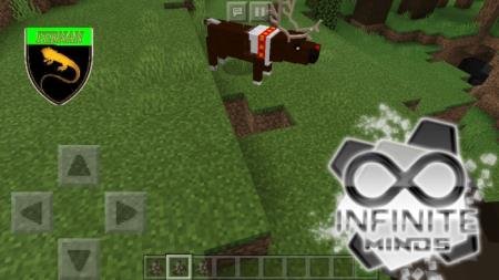 description_2 Reindeer.