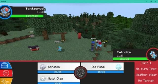 description_25 Pokébedrock