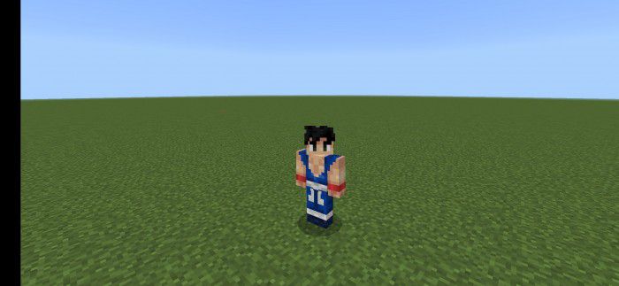 image 9 for Набор костюмов «Жемчуг дракона» (1.19) — MCPE/Bedrock