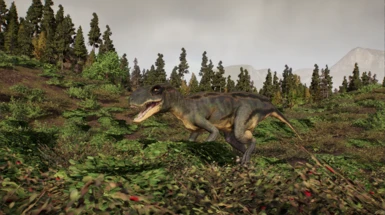 image 3 for