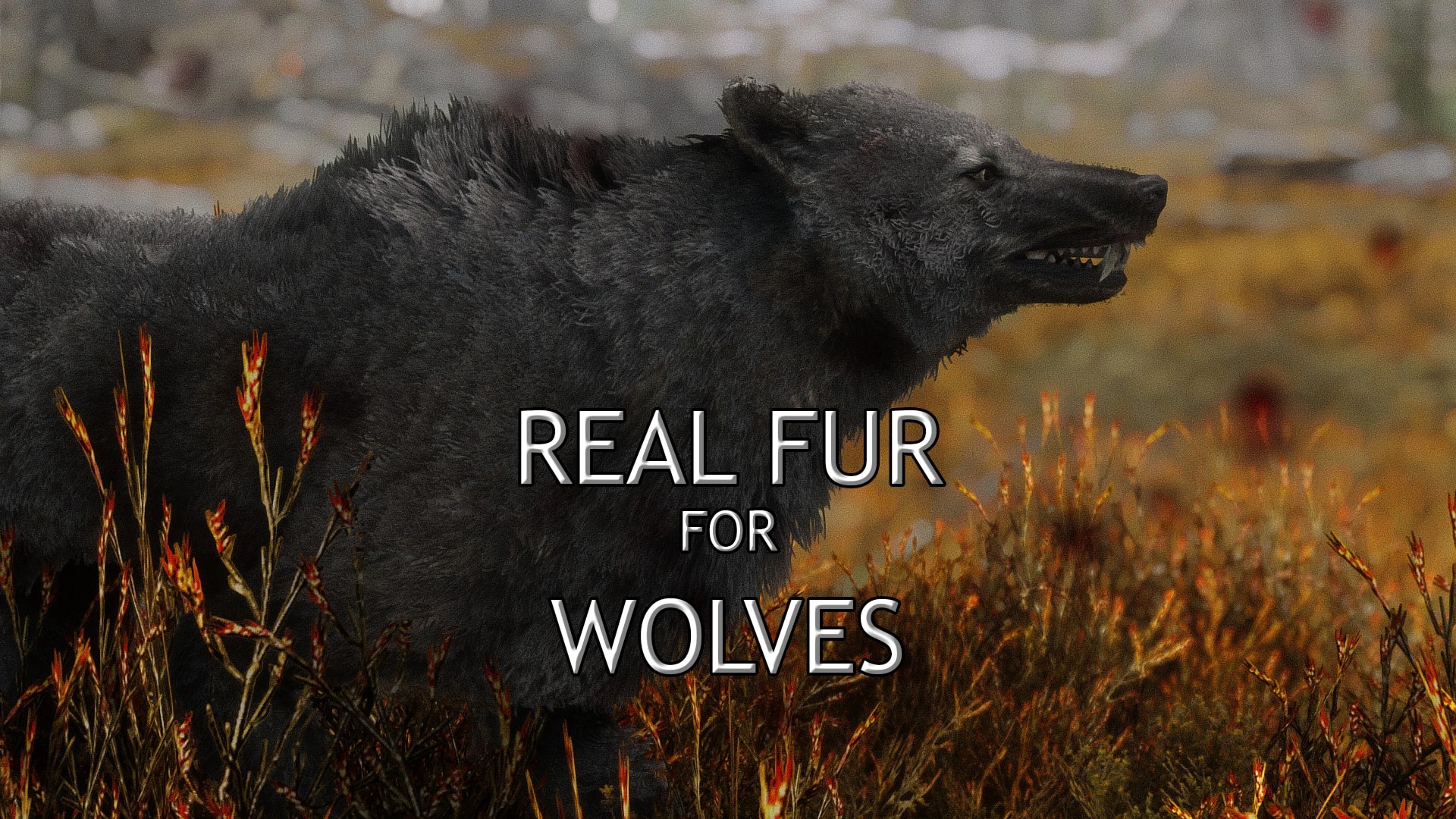 description_0 Real Fur for Wolves