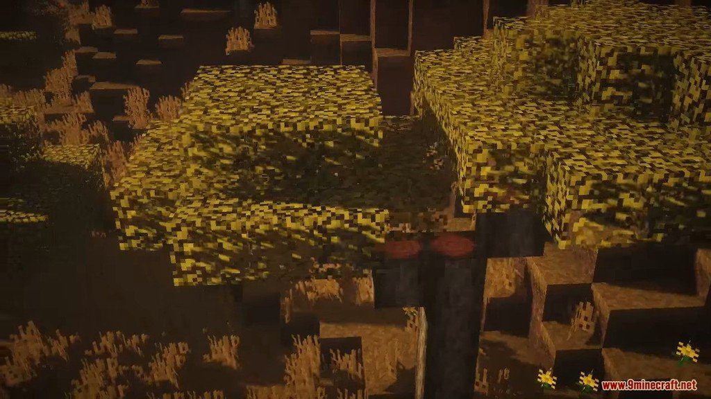 description_4 Paquete de recursos de realismo natural (1.16.5) - Paquete de texturas