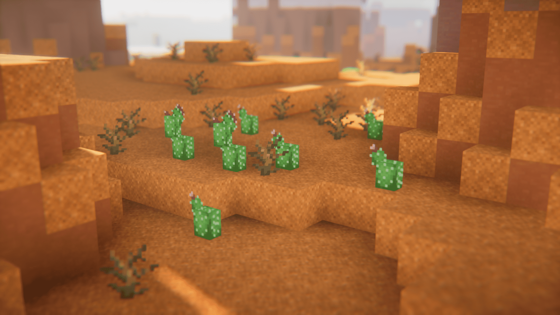 description_0 Biome Backlog Mod 1.20.1 - New content for biomes