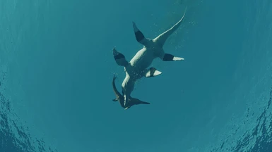  image 4 for