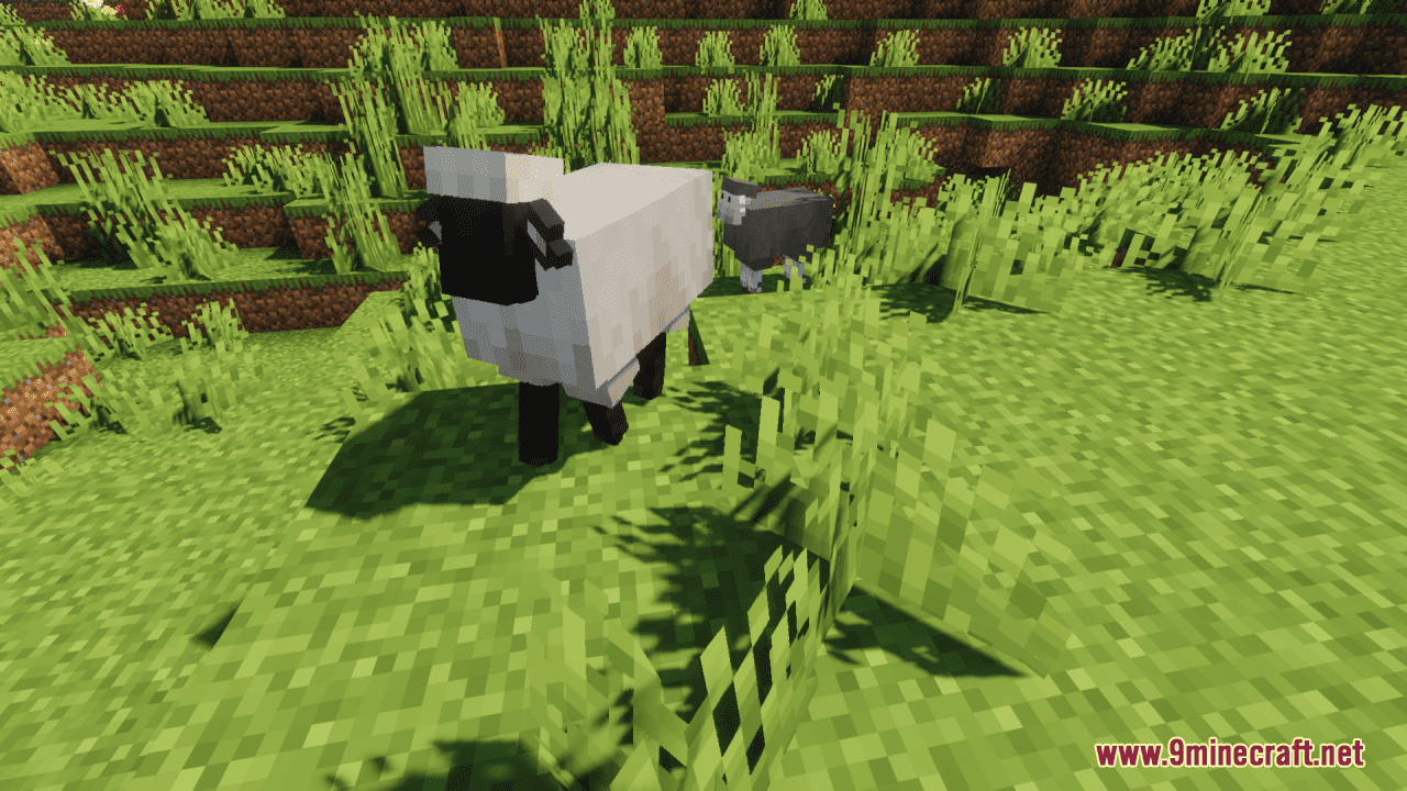 description_7 Better Sheep Resource Pack (1.20.4, 1.19.4) - texture pack