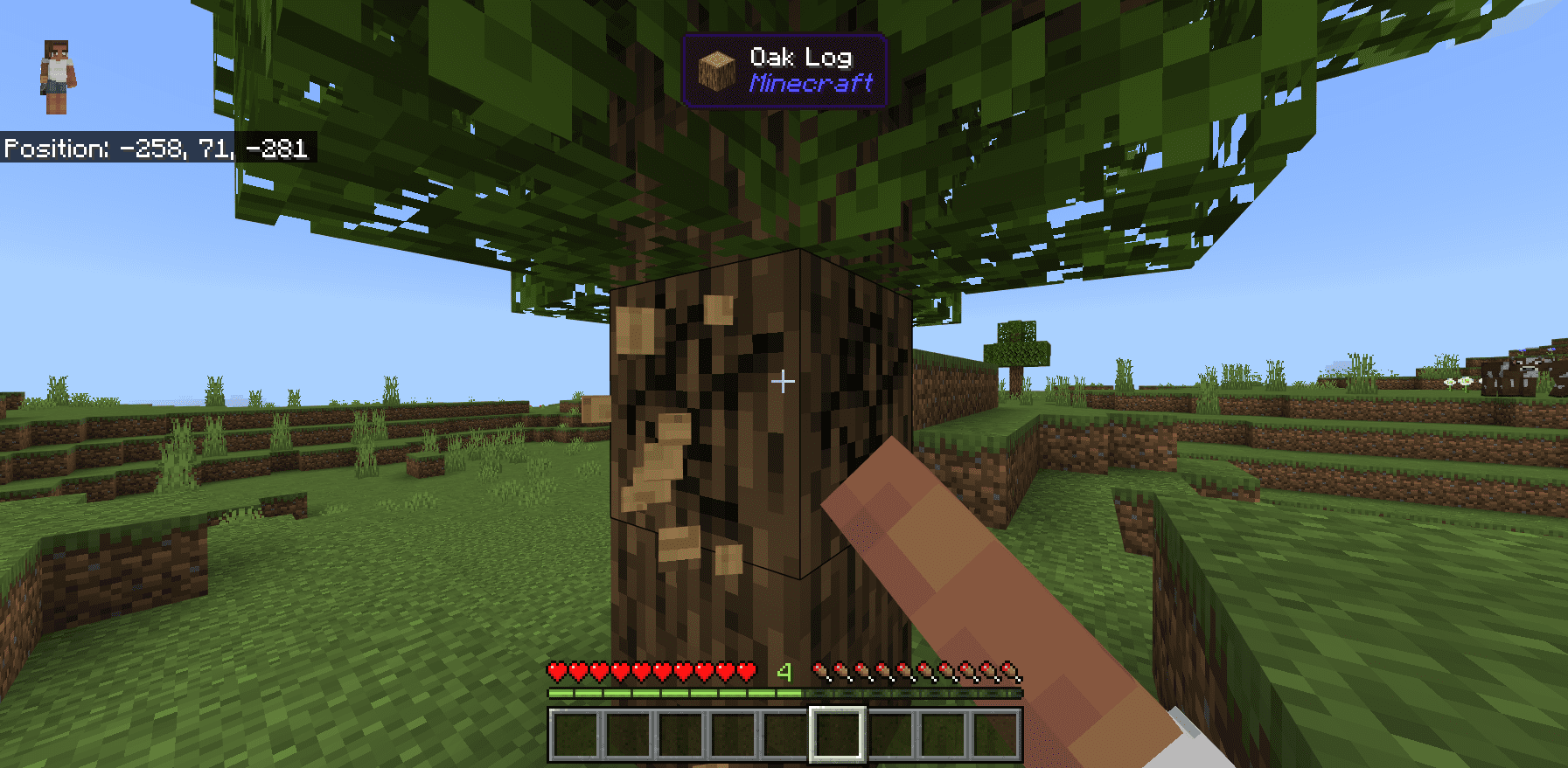 image 1 for На что я смотрю? Дополнения (1.20) - MCPE/Bedrock WAILA Model