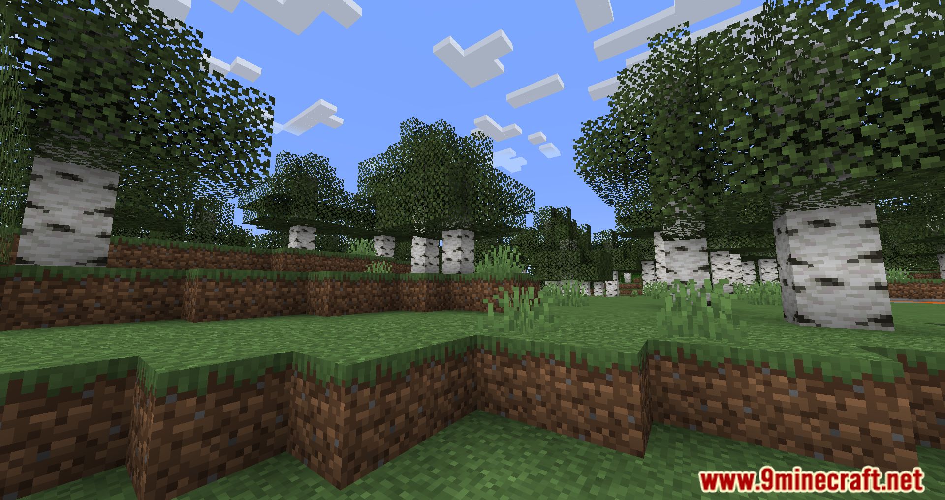 description_6 Cull Less Leaves Reforged Mod (1.20.2) - Melhora o visual e o desempenho da sua Minecraft.