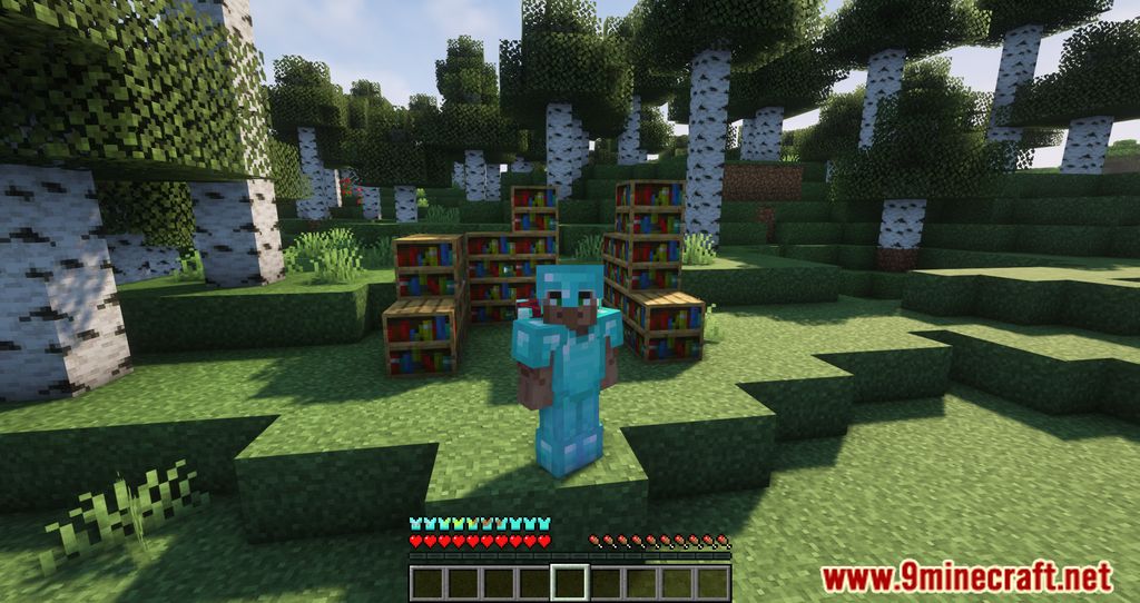 image 8 for Details Mod Armour Bar (1.20.5) - Armour Bar View Details