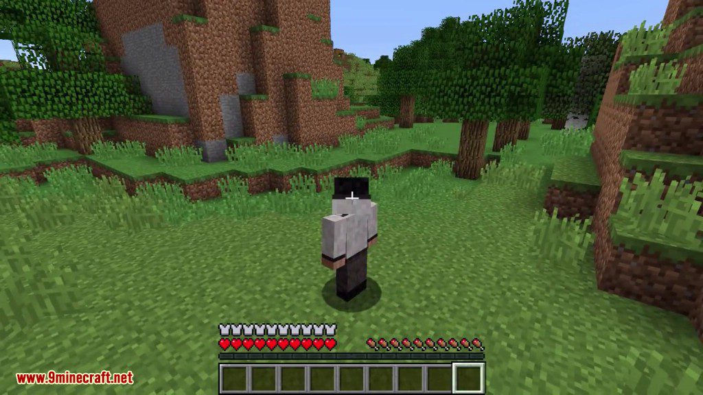 description_3 Cosmetic Armor Reworked Mod (1.20.4) - can be anything