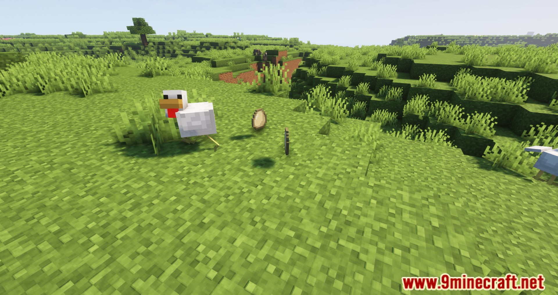 description_0 Despawning Eggs Hatch Mod - Chickens are born from dropped eggs.