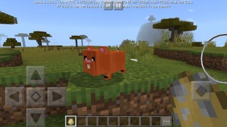 description_1 Mod: Hamster.