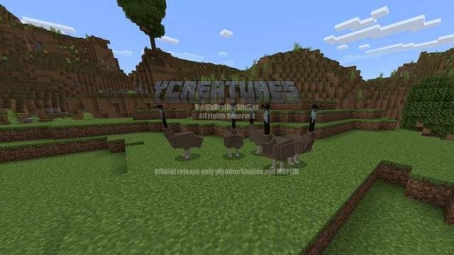 description_19 More animals.