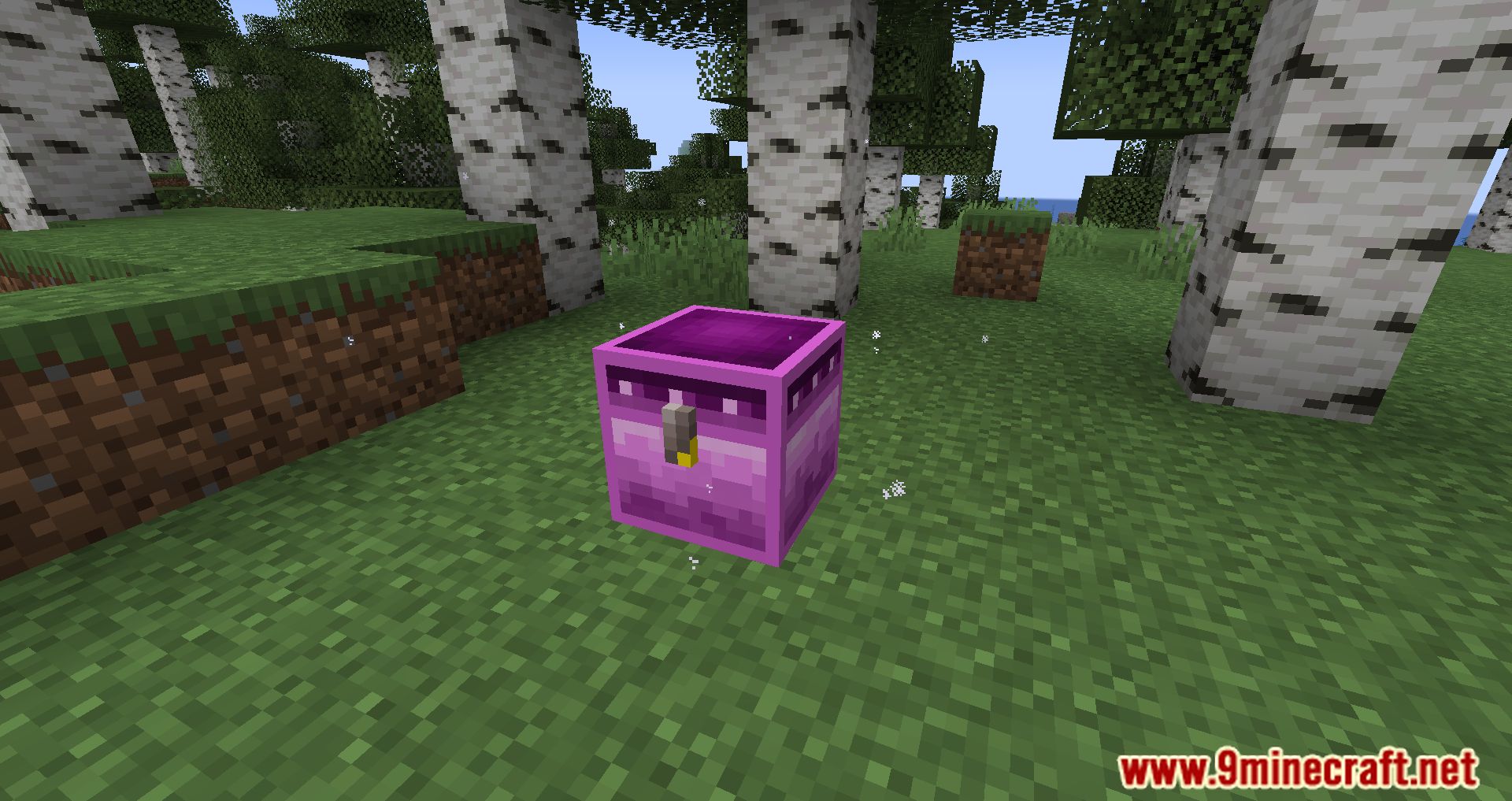 description_4 Wunderreich Mod 1.20.1 - симфония новых механик и инструментов