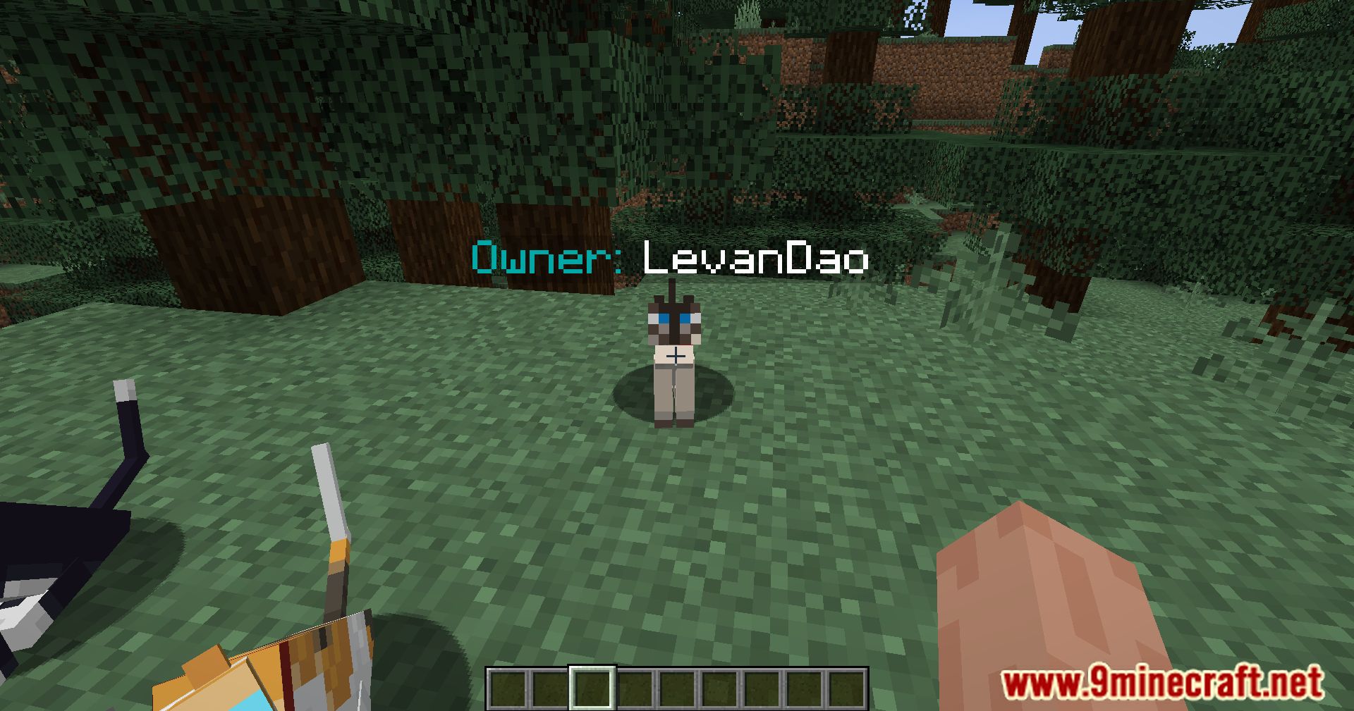 description_5 Pet Owner Mod 1.20.4 - определение владельцев животных с первого взгляда