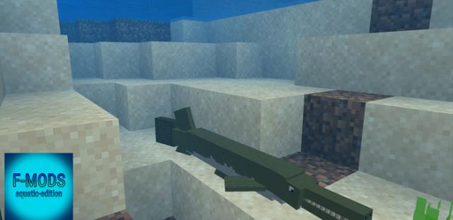 description_8 Экзотические рыбы.