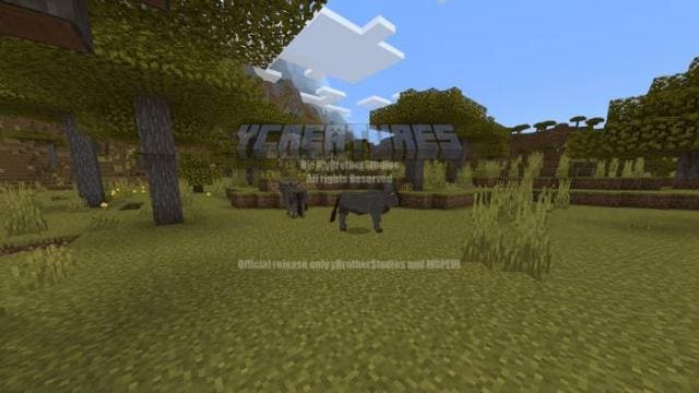 description_21 Больше животных.