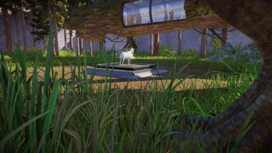 image 3 for 