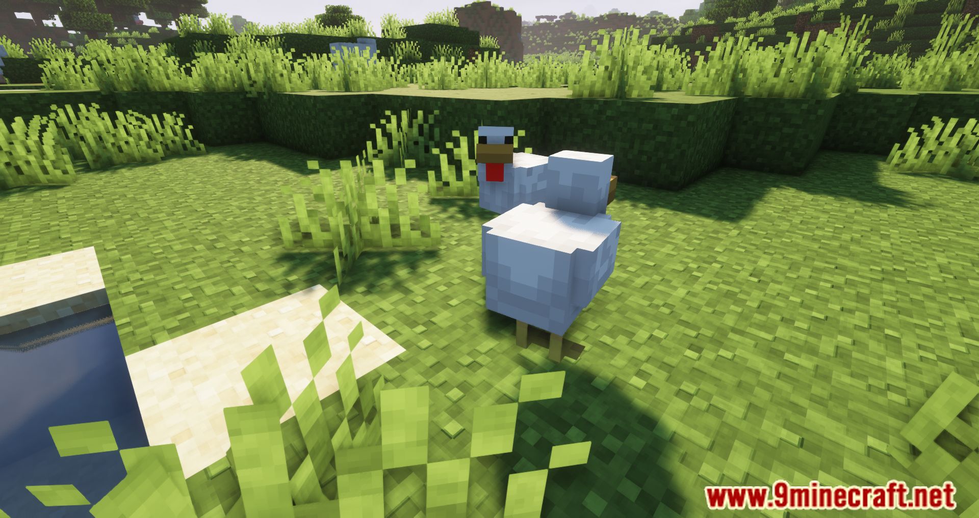 description_6 Despawning Eggs Hatch Mod - Chickens are born from dropped eggs.