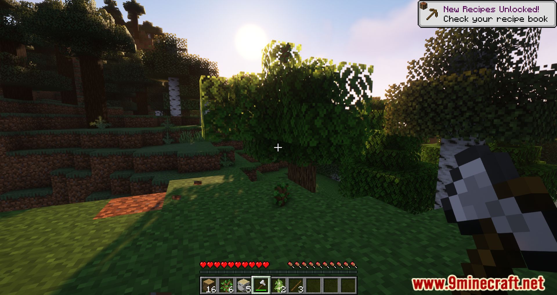description_3 Decaimiento acelerado mod (1.20.4) - útil para la tala de árboles