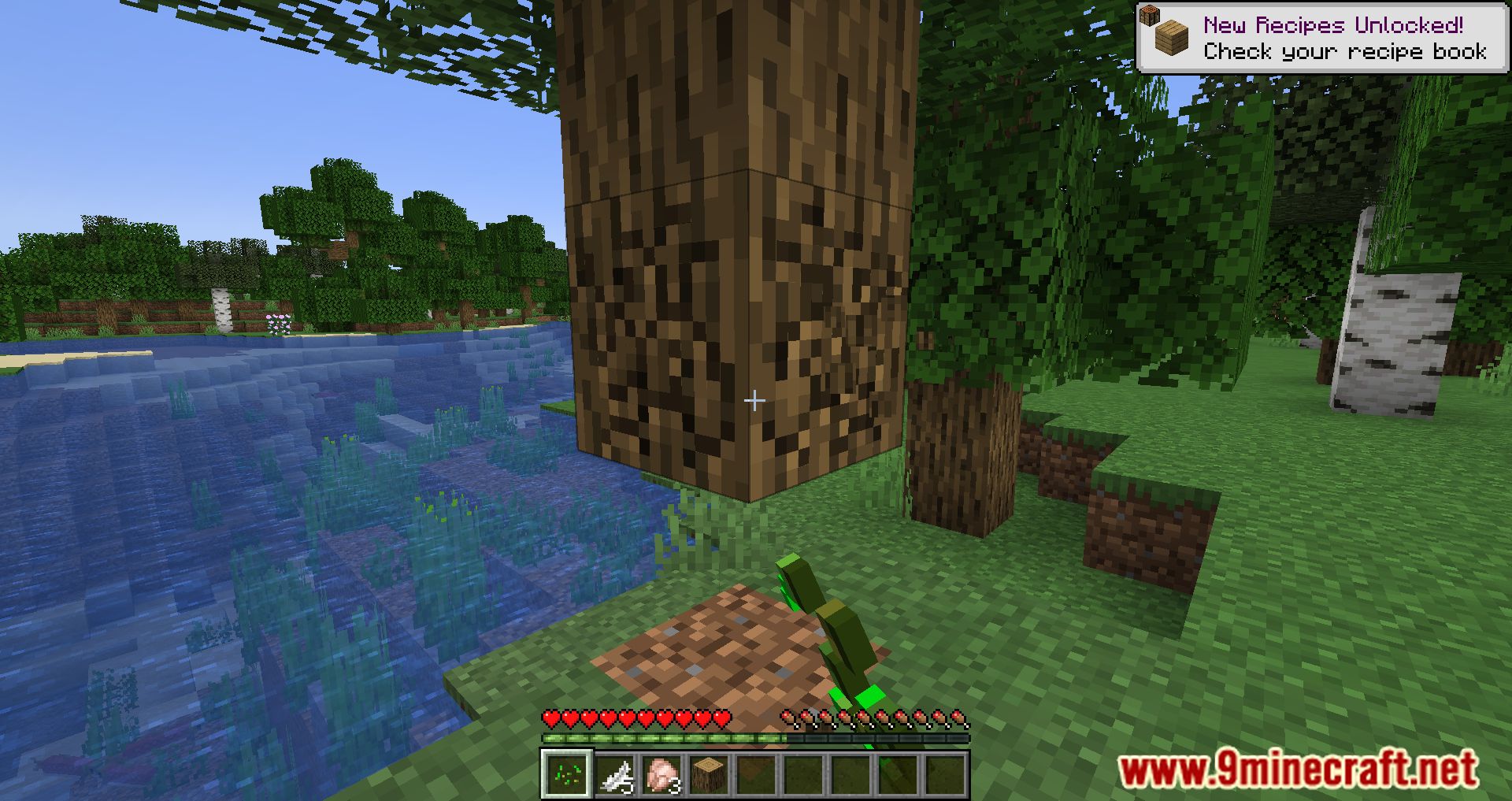 description_6 Auto HUD Mod (1.20.4) Fabric version - Мод, позволяющий узнать, когда нужно скрыть изображение