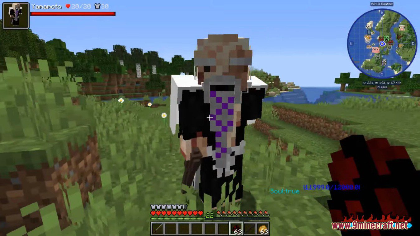 description_9 Bleach Vibes Mod (1.16.5) - Mod for the anime 