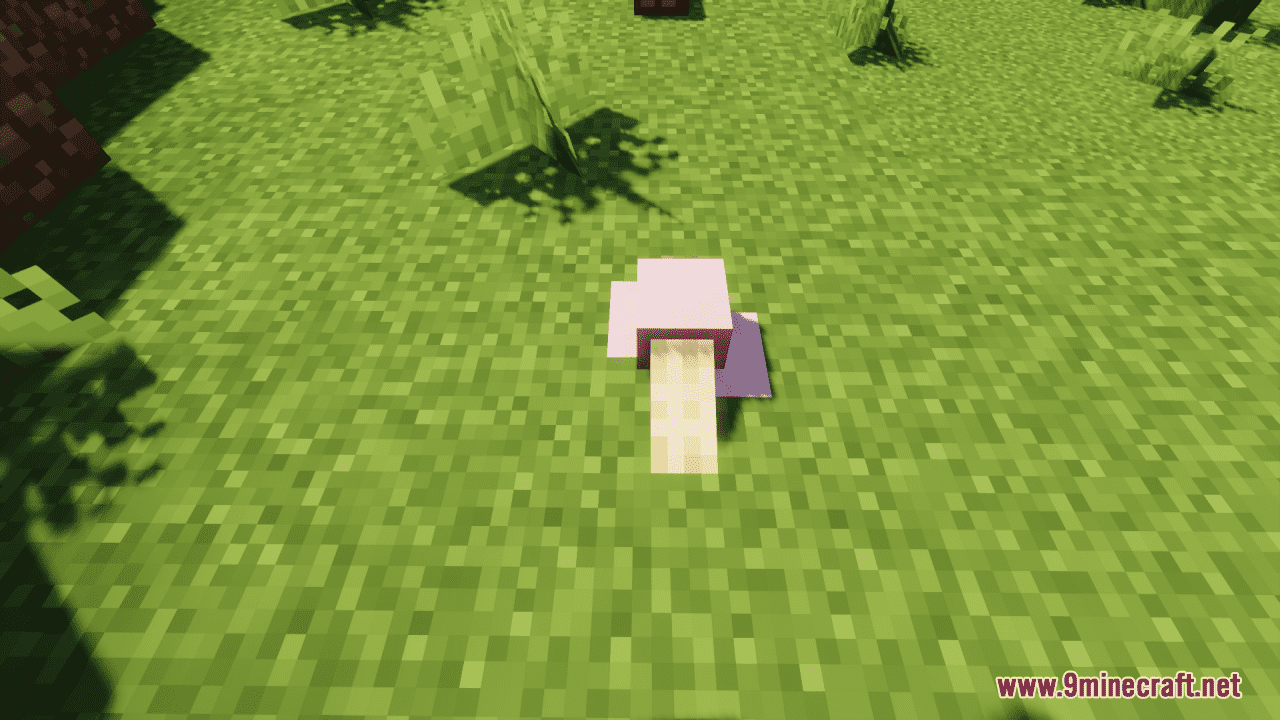 description_8 Birthday Buffet Resource Pack (1.20.4, 1.19.4) - texture pack
