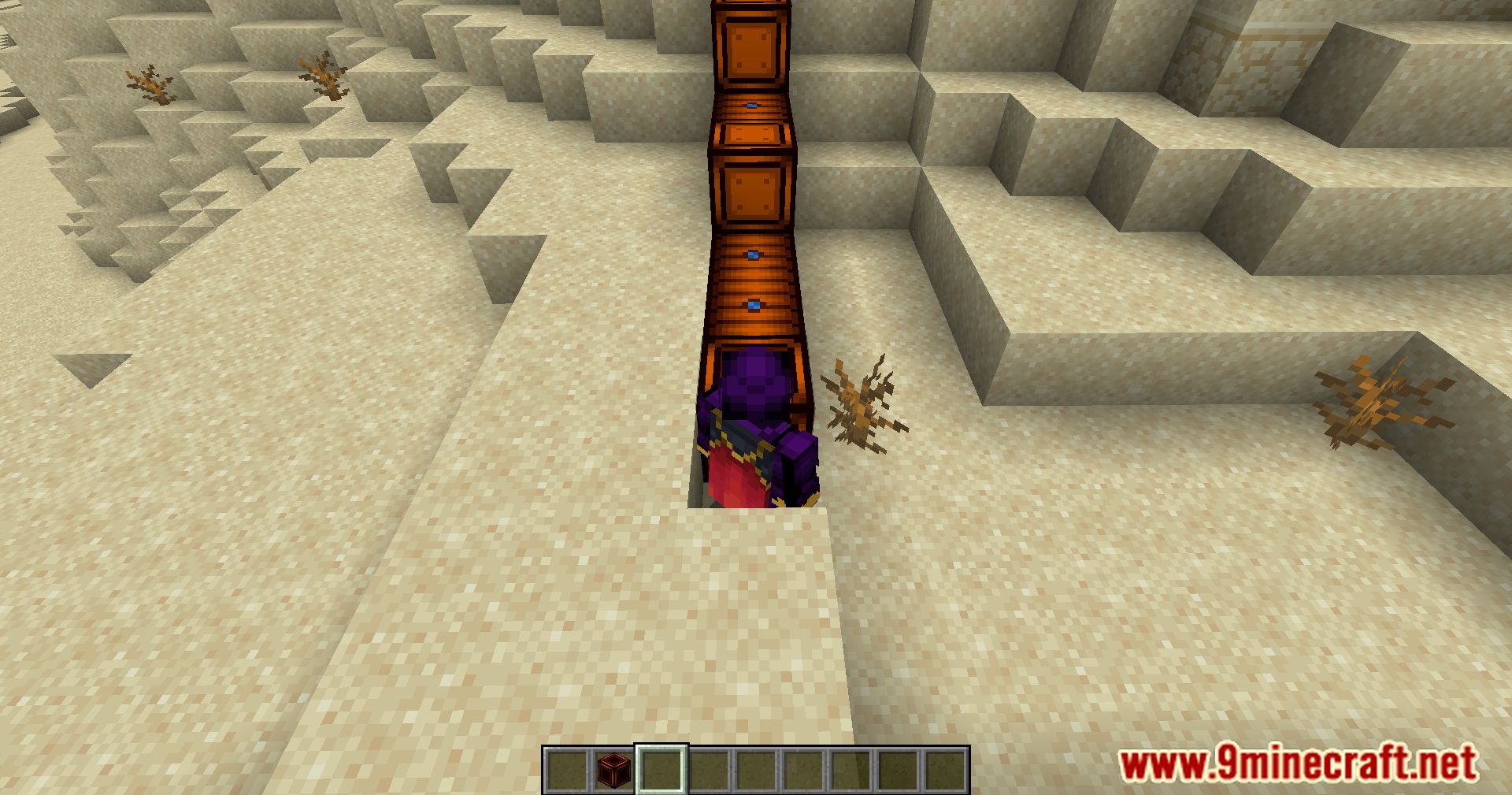 image 4 for Player Transport Channel Mode (1.20.4) - Introducción de los canales de transporte del reproductor