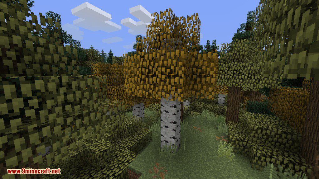 description_4 Biomas O' Plenty Mod (1.20.4) - un gran número de nuevos biomas