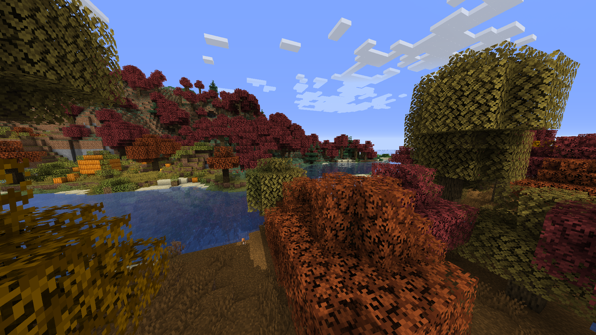 image 1 for