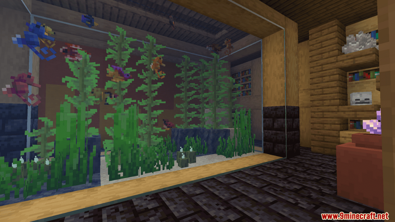 description_8 Rainbow Reef Mod (1.20.1) - 79+ dazzling fish
