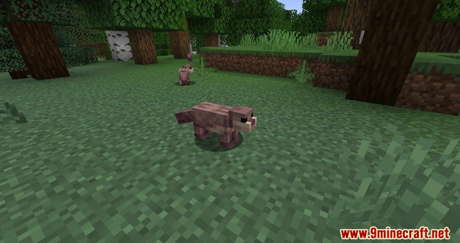 description_7 Ottah Mod - adding the Adorable otter!