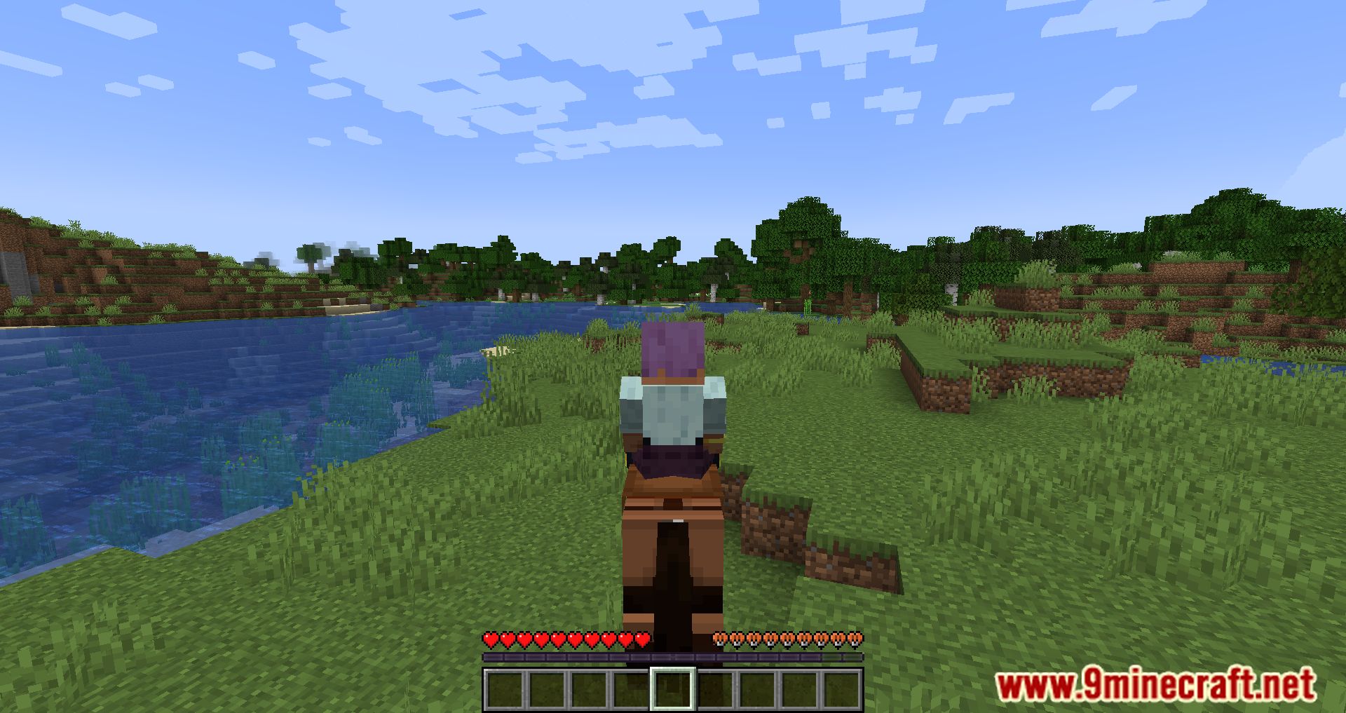 Imagen 5 para Horse Buff Mod (1.20.4) - Juego de caballos mejorado!