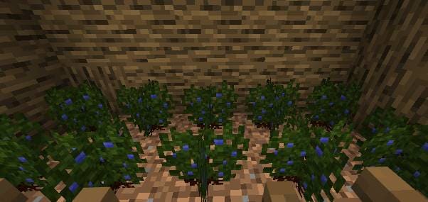 description_25 Новогоднее выживание.